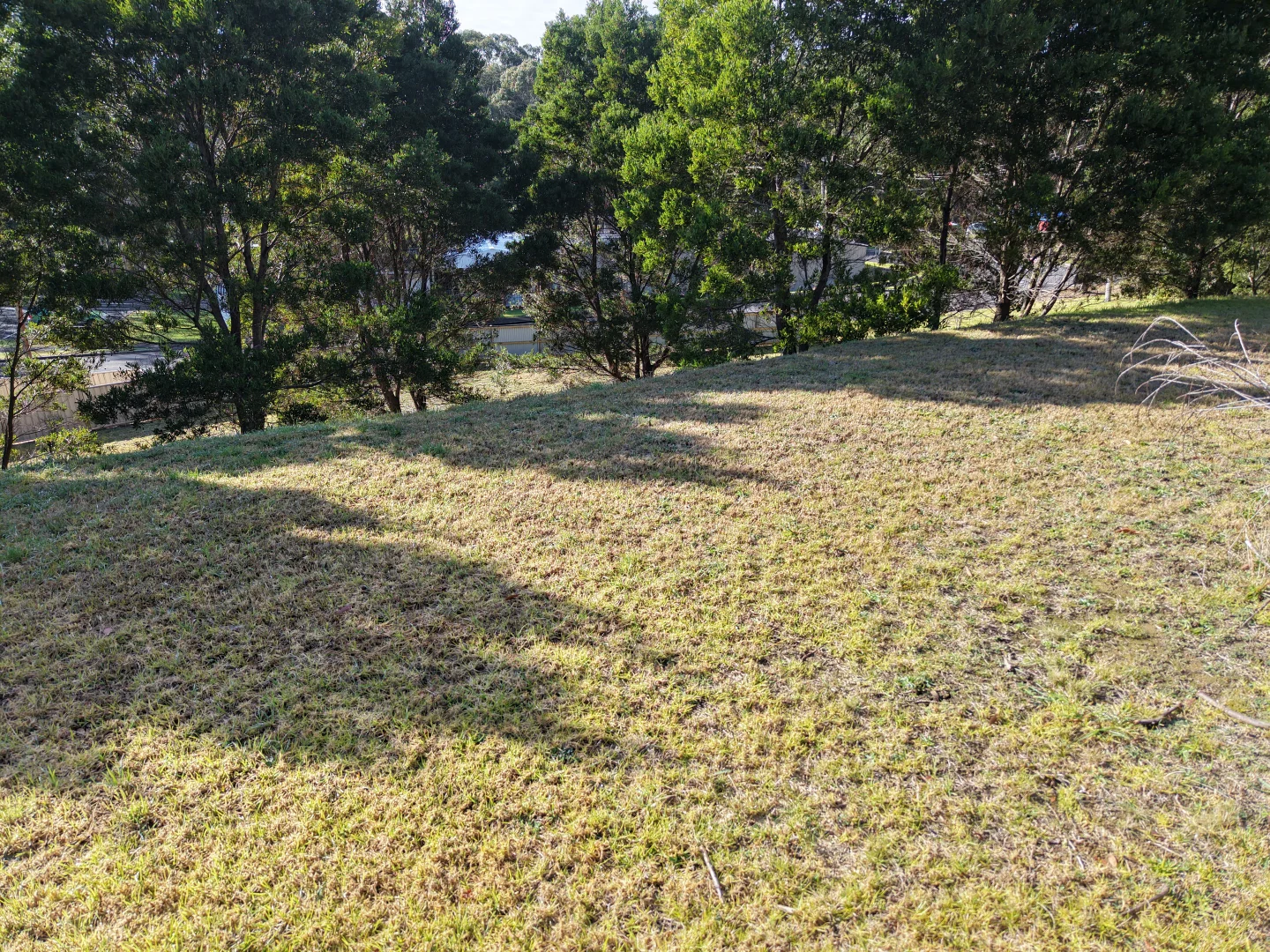 Additional image 6 of 28-30 Timboon-Curdievale Road, Timboon VIC 3268