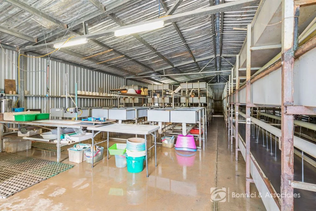 Additional image 11 of 121 Stanley Road, Beechworth VIC 3747