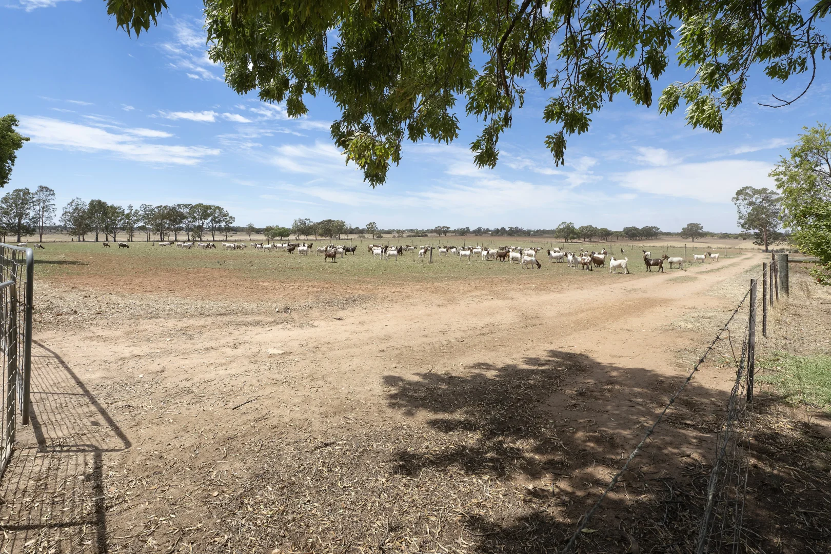Additional image 30 of 55 Steicke Road, Beverford VIC 3590