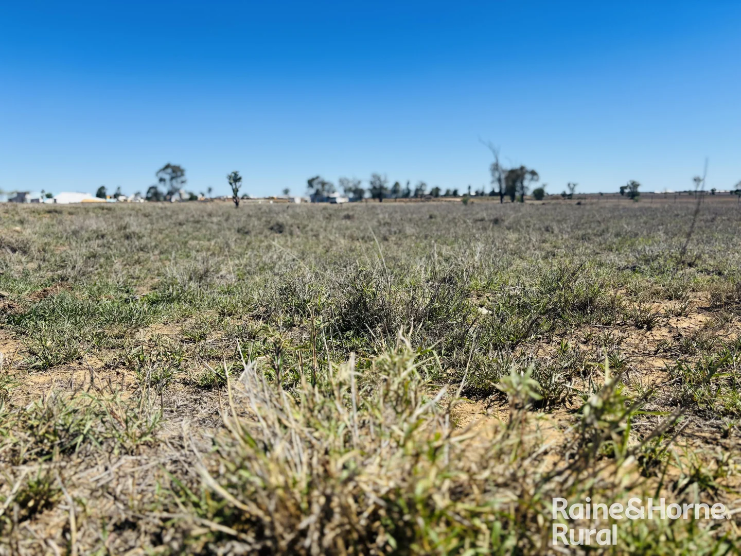 Additional image 2 of 61 Upper Bowen Street, Roma QLD 4455
