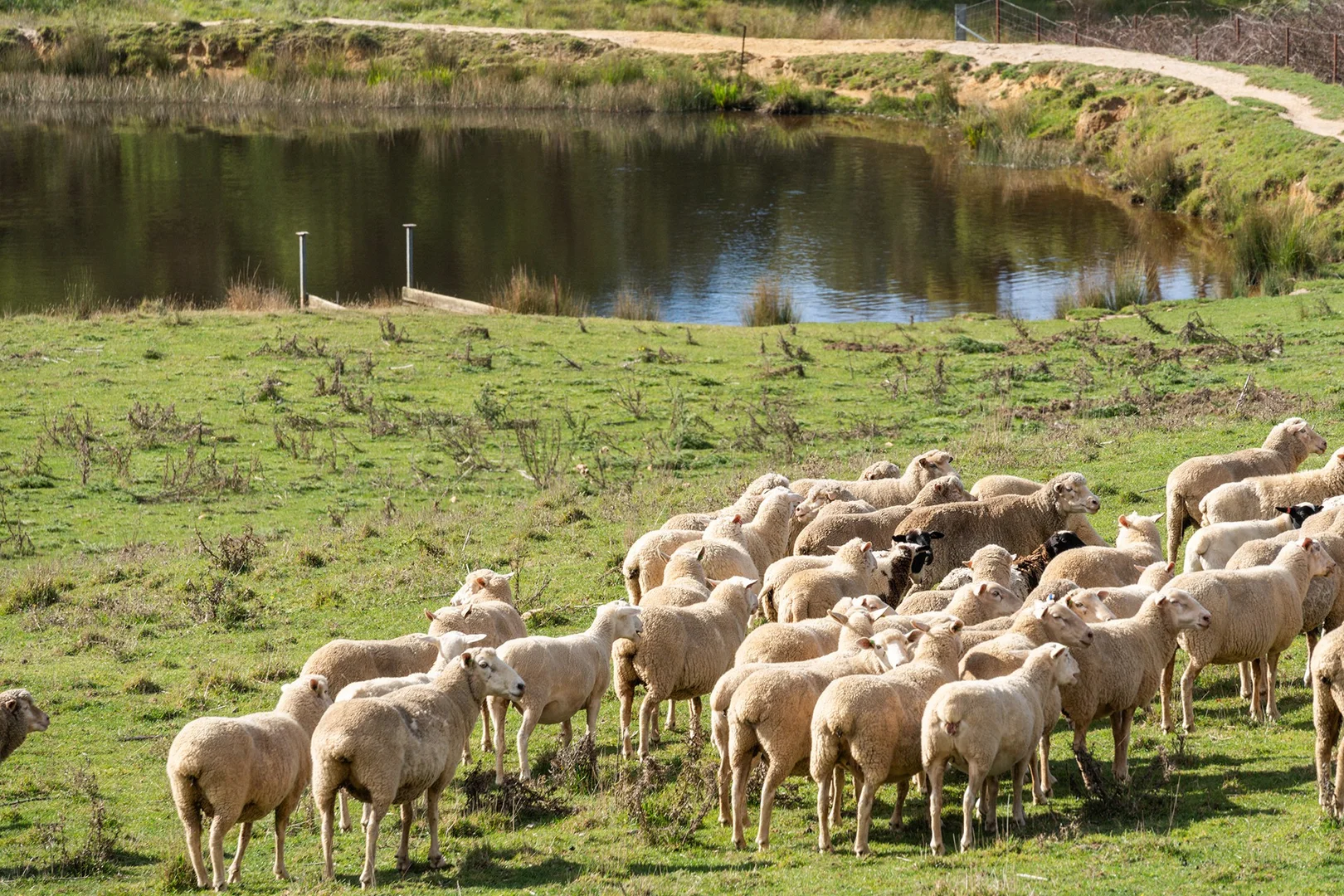 Additional image 10 of 106 Redground Heights Road, Laggan NSW 2583