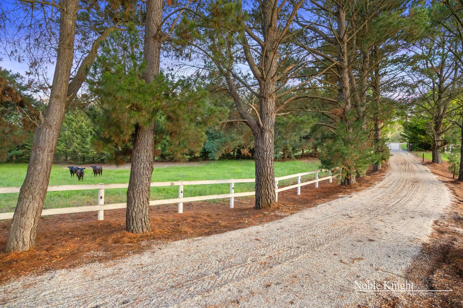 Additional image 4 of 5381 Melba Highway, Yea VIC 3717