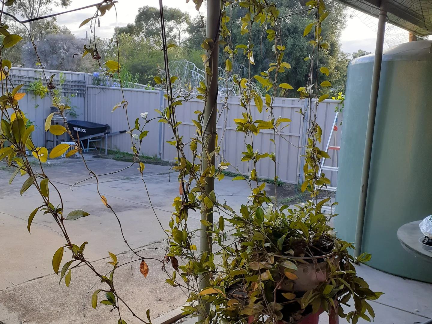 Additional image 35 of 57 Rohs Road, East Bendigo VIC 3550