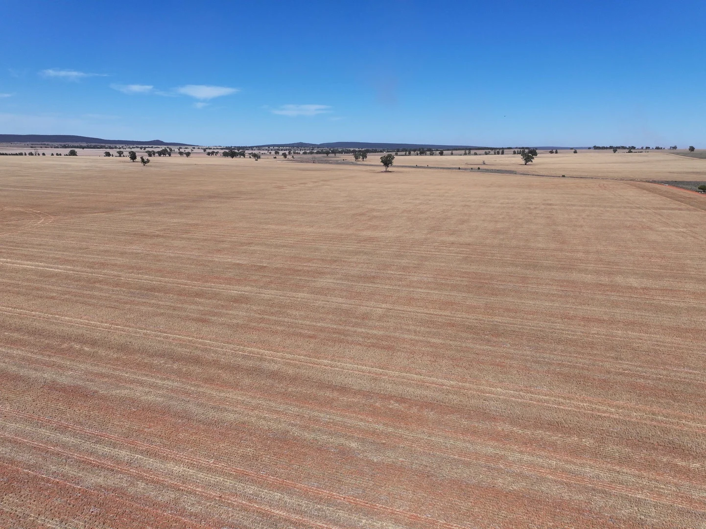 Additional image 5 of 'Nolens'  5000 Barellan Road, Colinroobie NSW 2700