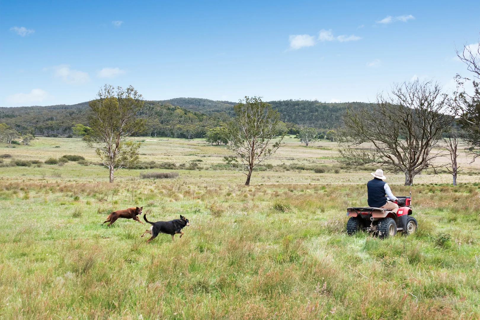 Additional image 13 of 14/371 Mayfield Road, Braidwood NSW 2622