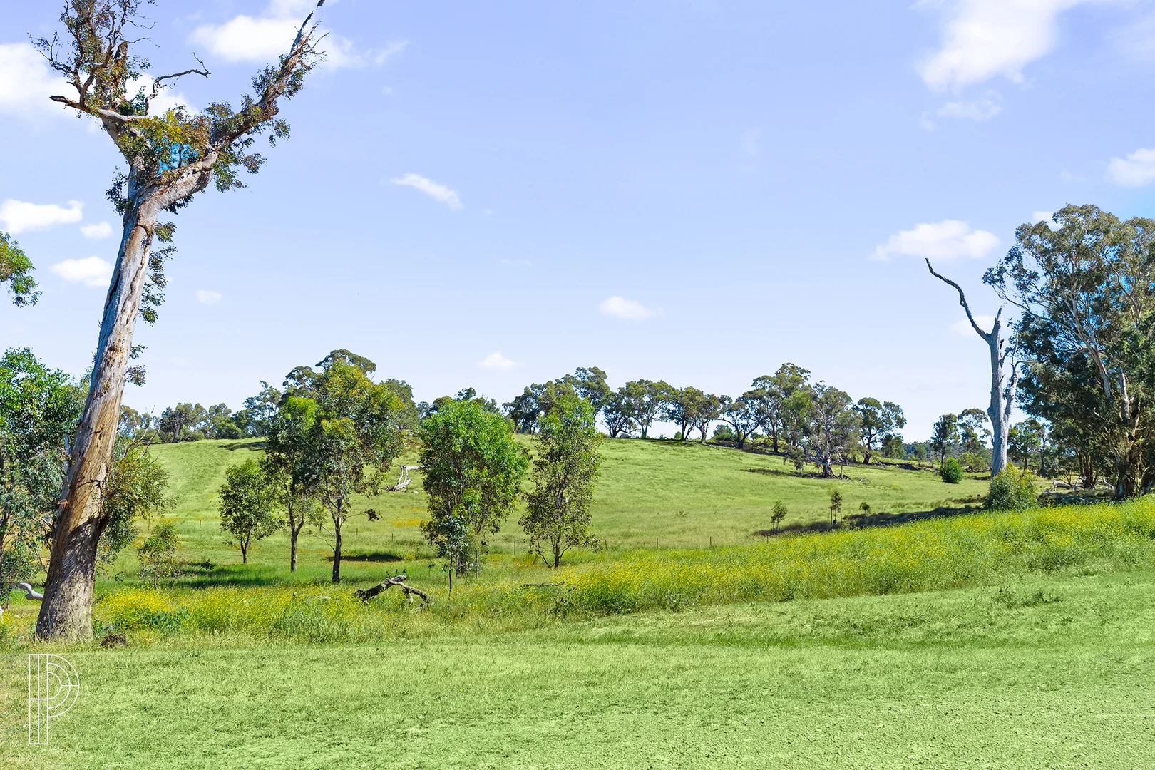 Additional image 17 of 91 Bieundurry Street, Bonner ACT 2914