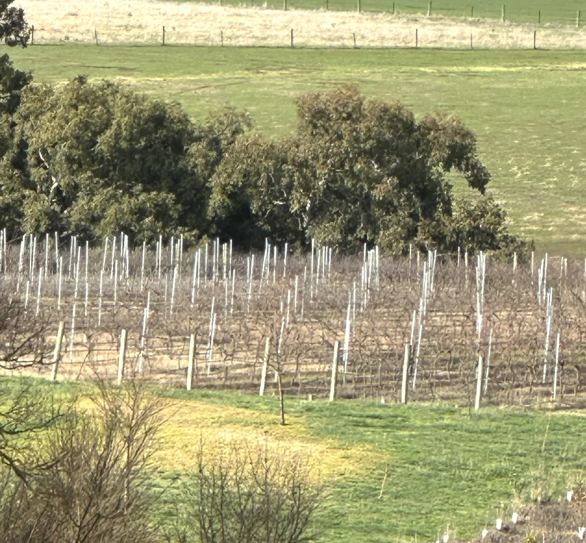 Additional image 12 of 136 Darlington-Carranballac Road, Darlington VIC 3271