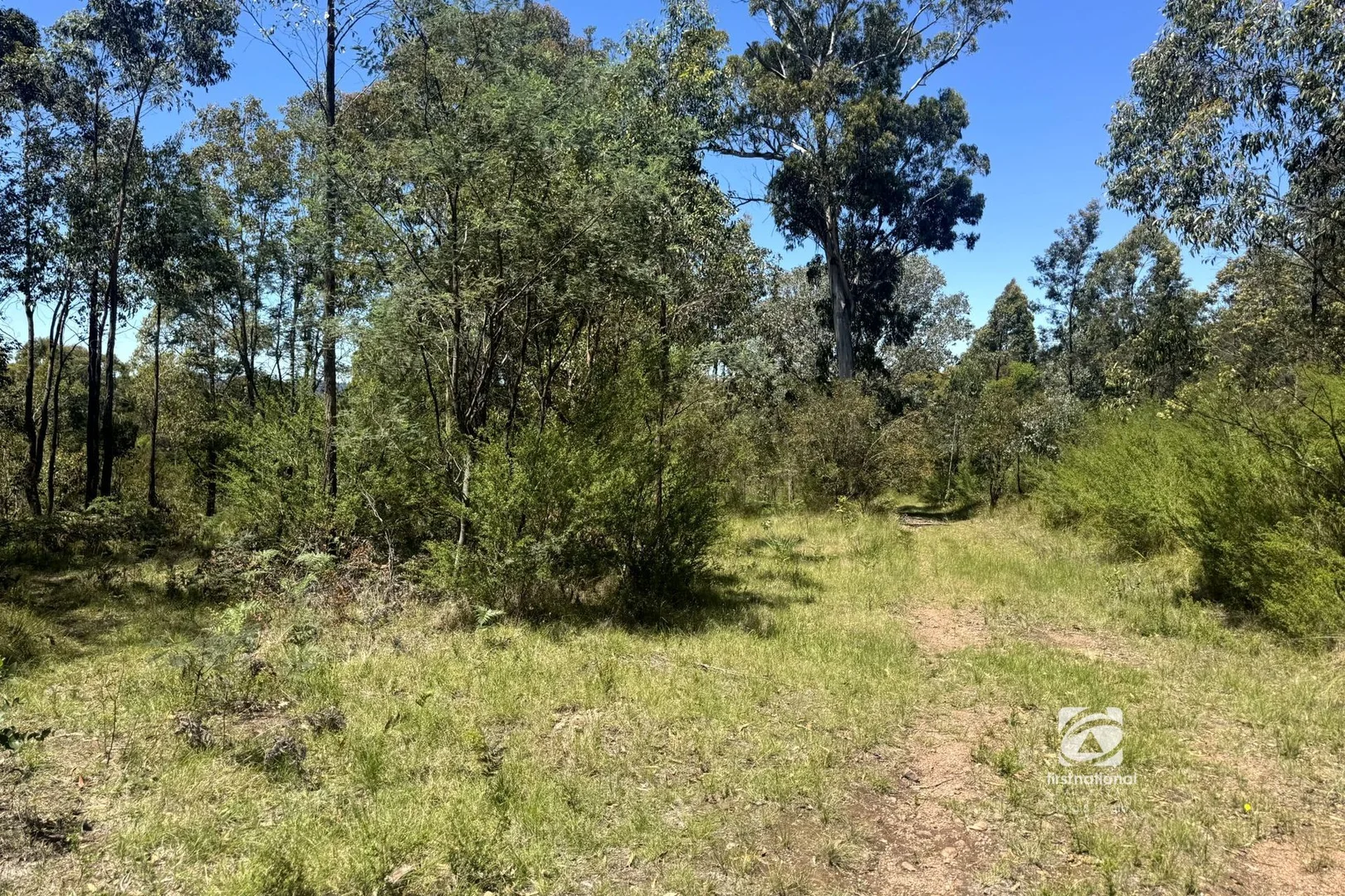 Additional image 13 of 139 Buchan South Road, Buchan South VIC 3885