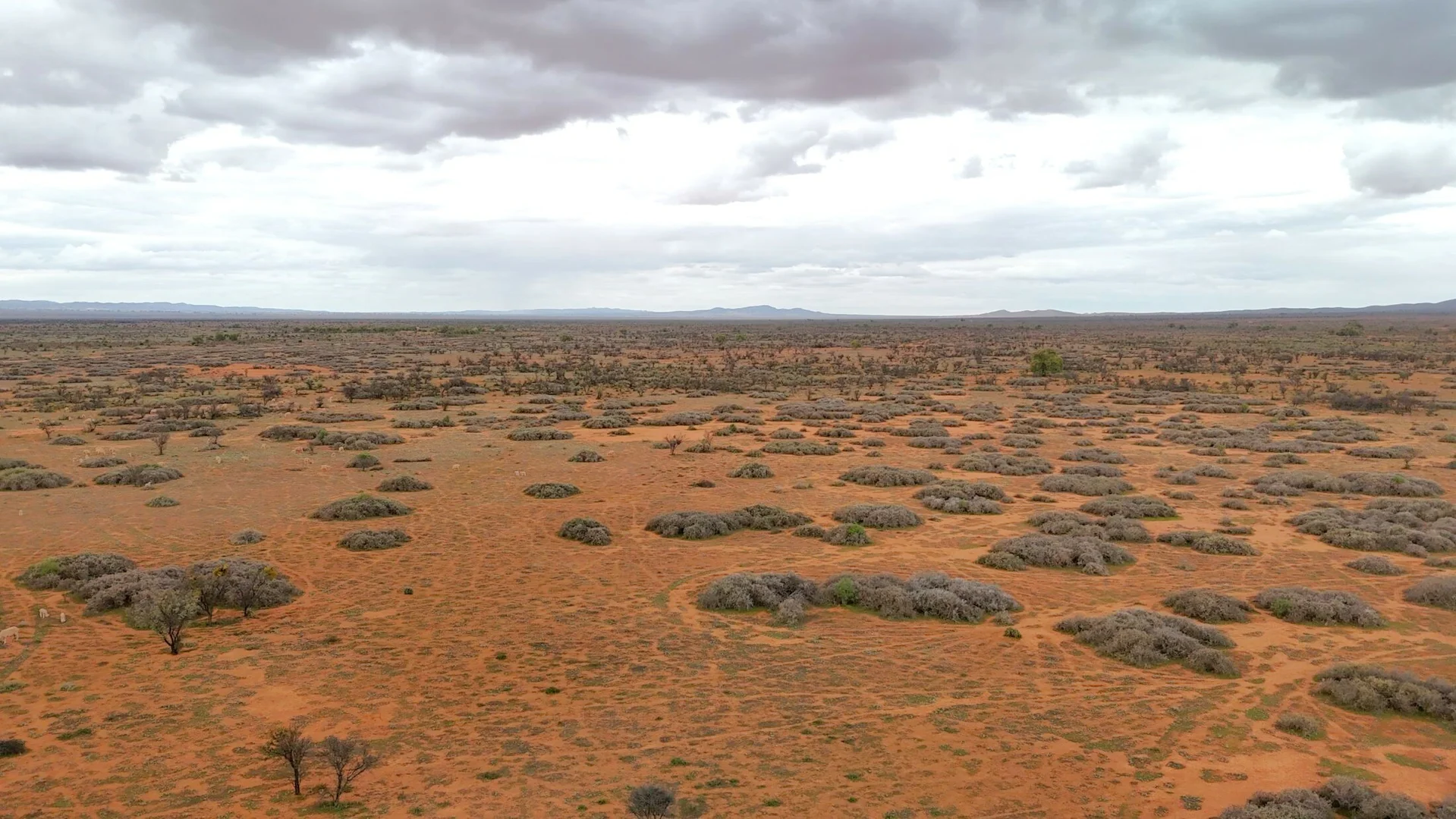 Additional image 13 of 'Acacia Ridge' 511 Tapscott Rd, Orroroo SA 5431