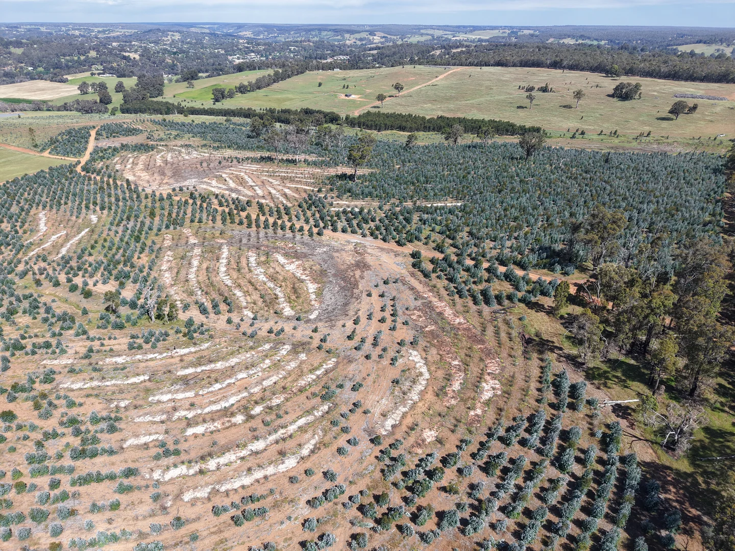 Additional image 4 of Lot 1251 Peninsula Road, Bridgetown WA 6255