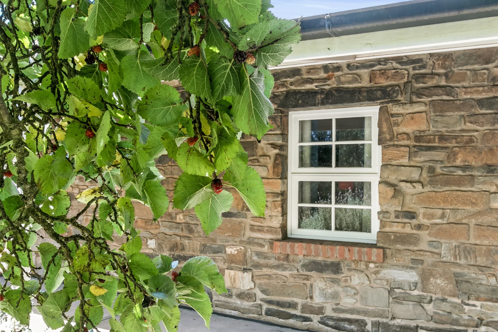 Additional image 5 of 5 Penglawdd Street, Burra SA 5417