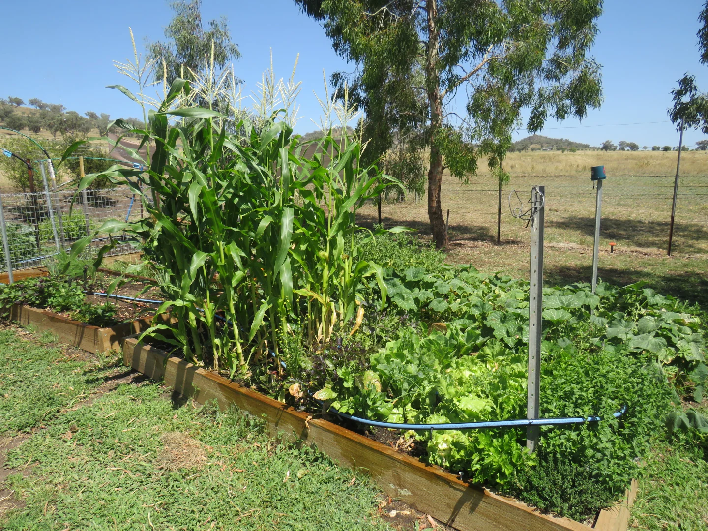 Additional image 14 of "Prairie" 1758 Werris Creek Road, Werris Creek NSW 2341