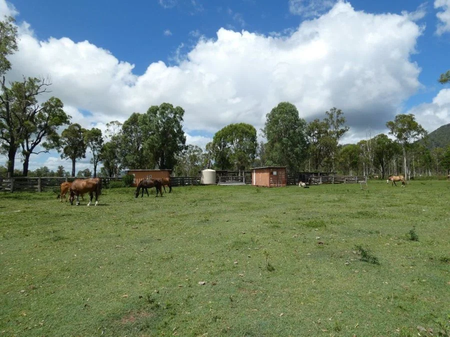 Additional image 13 of 277 Bushlands Road, Bororen QLD 4678