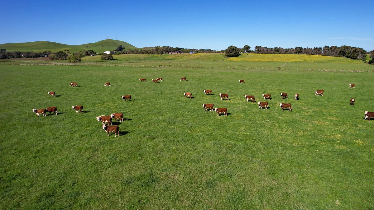 Additional image 11 of Holdsworths Lane, Mortlake VIC 3272