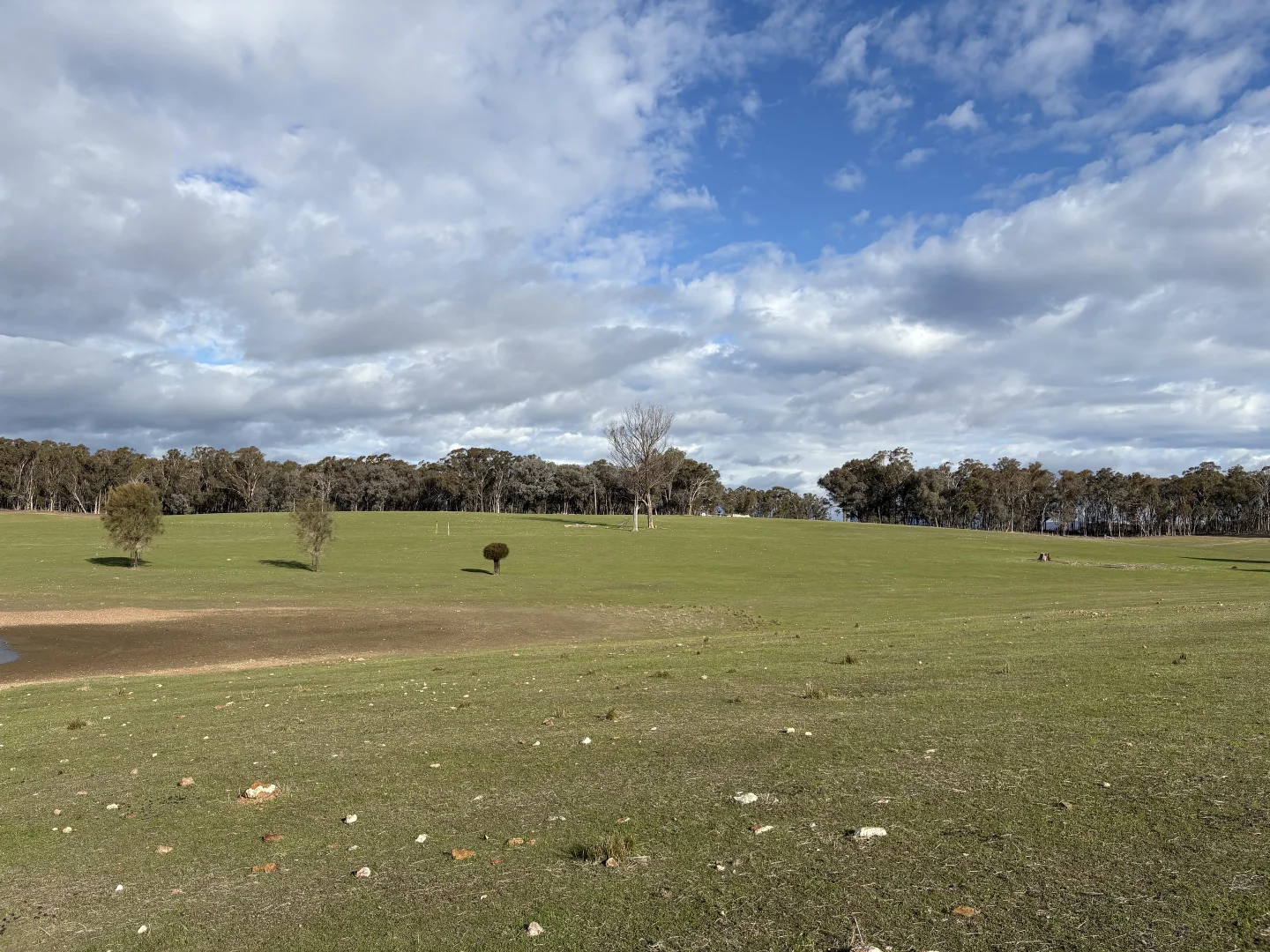 Additional image 5 of Lot 1 Sloan Rd, Baddaginnie VIC 3670