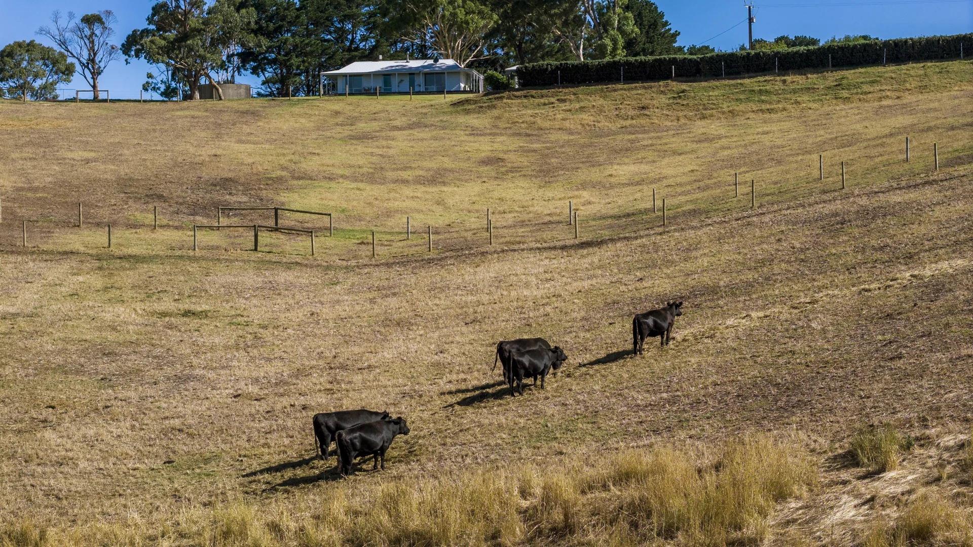 Additional image 30 of 224 Nicol Road, Meadows SA 5201