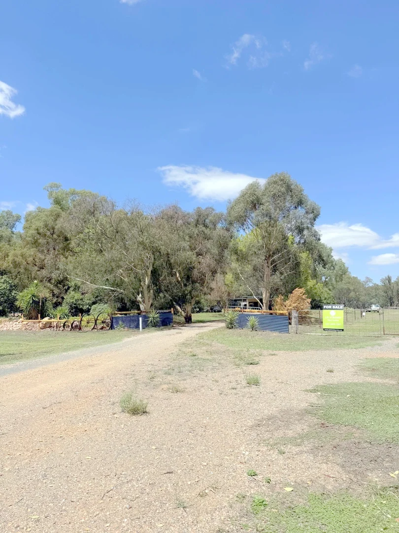 Additional image 54 of 506 North Forbes Rd, Condobolin NSW 2877