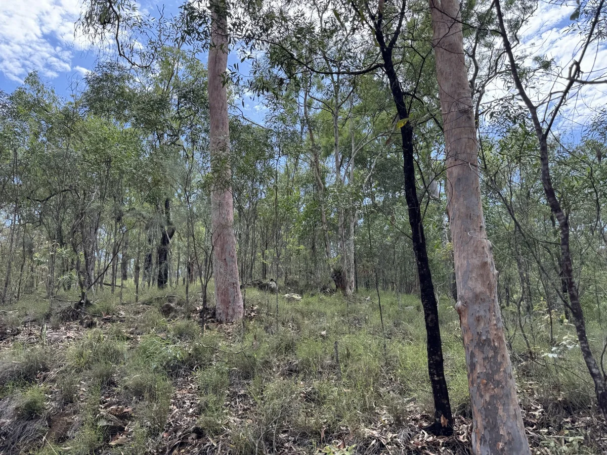 Additional image 11 of Hurdle Gully Road, Monto QLD 4630