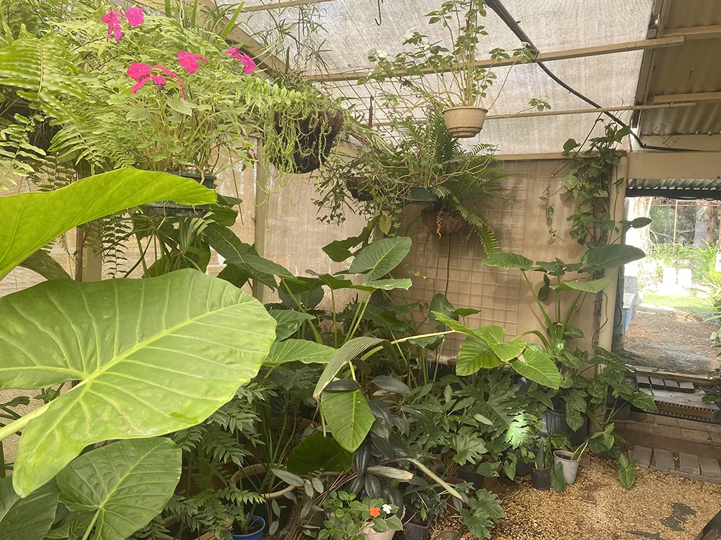 Additional image 21 of 252 Holder Top Road, Holder SA 5330