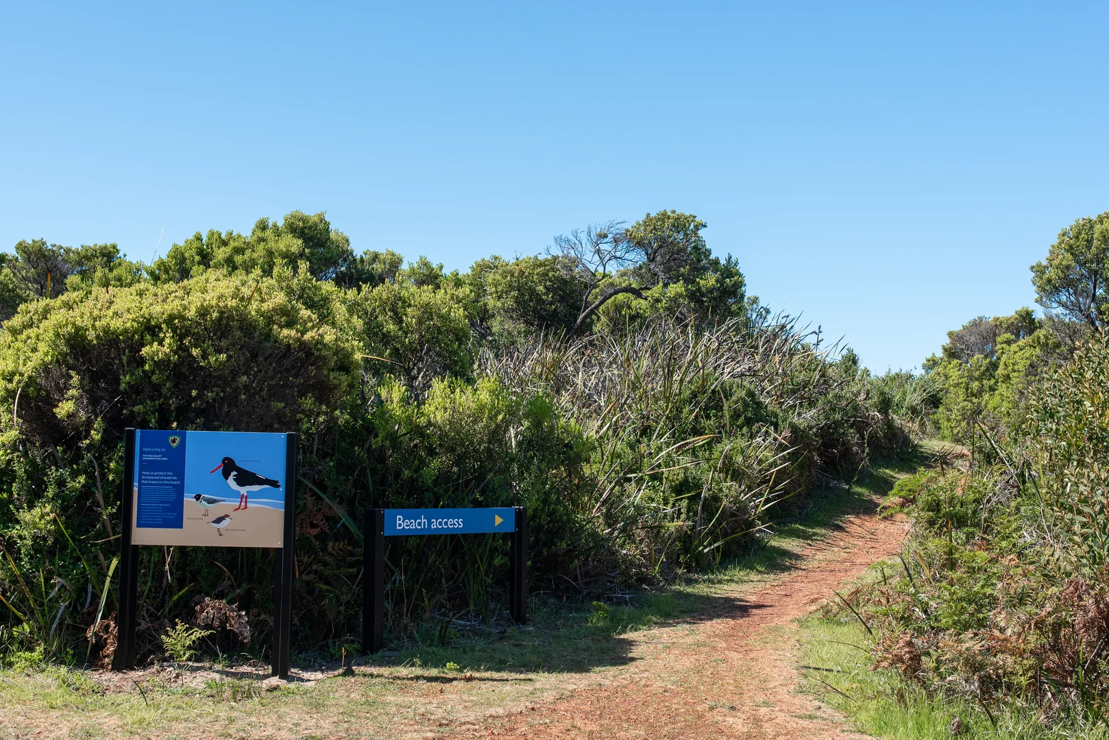 Additional image 22 of 131 Bellbuoy Beach Road, Low Head TAS 7253