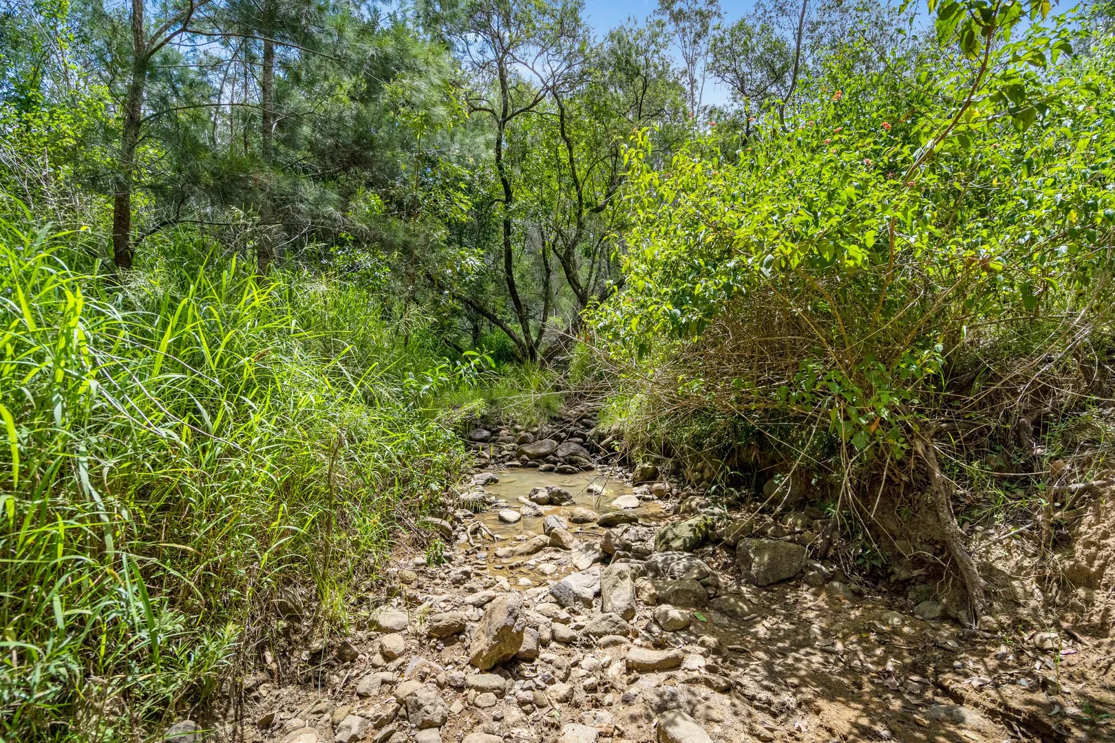 Additional image 12 of Lot 76 Rice Road, Lyons QLD 4124