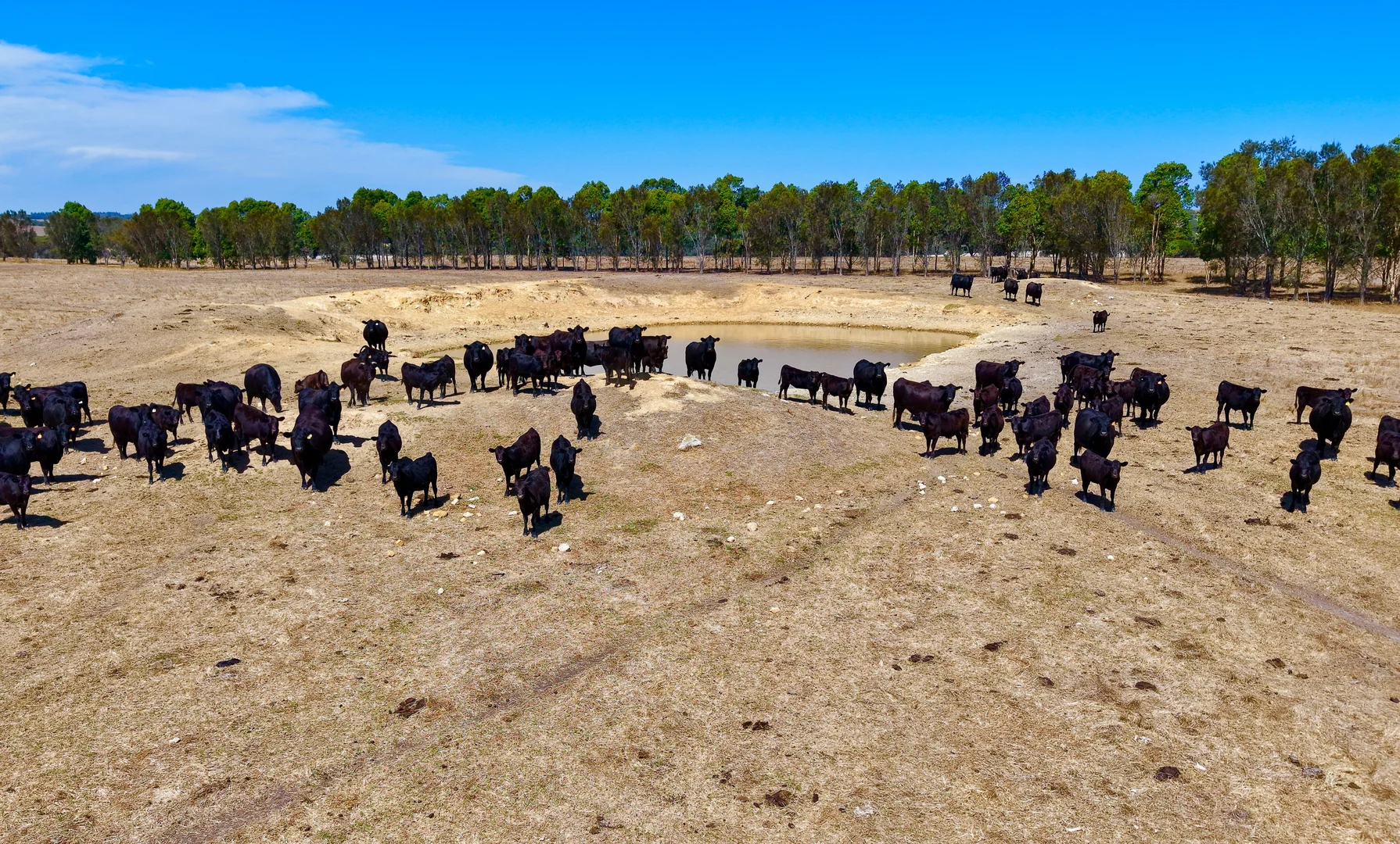 Additional image 15 of 4842 Chester Pass Road, Takalarup WA 6324