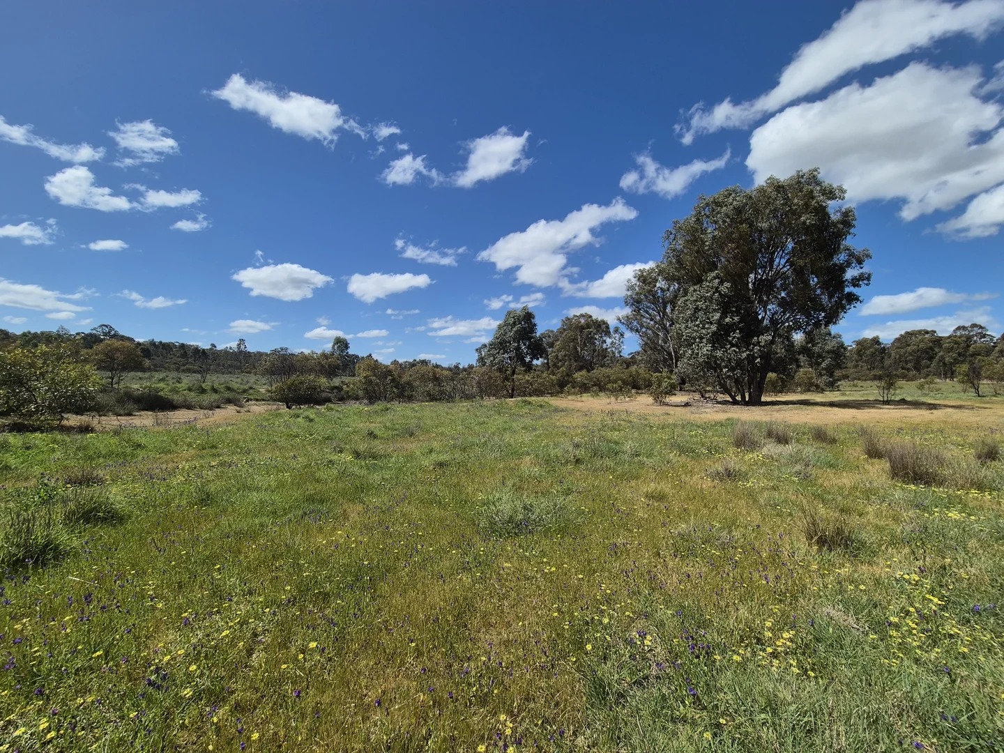 Additional image 8 of Lot 2 Gellibrand Tonks Road, Earlston VIC 3669