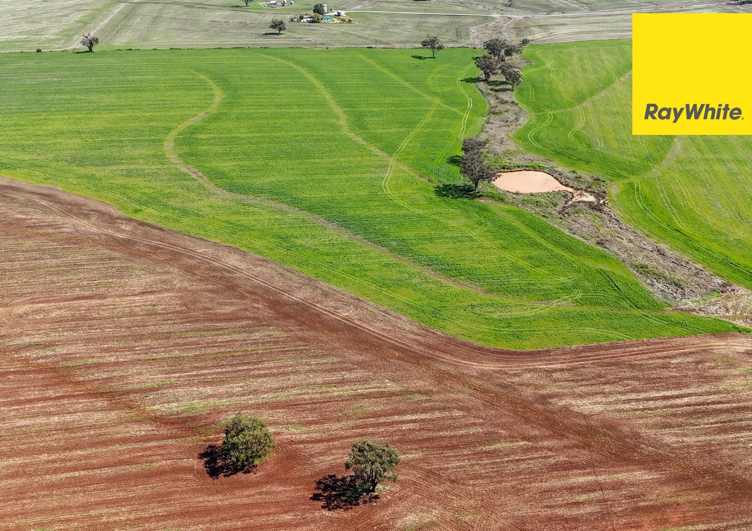Additional image 6 of 11 Delungra Bypass Road, Inverell NSW 2360