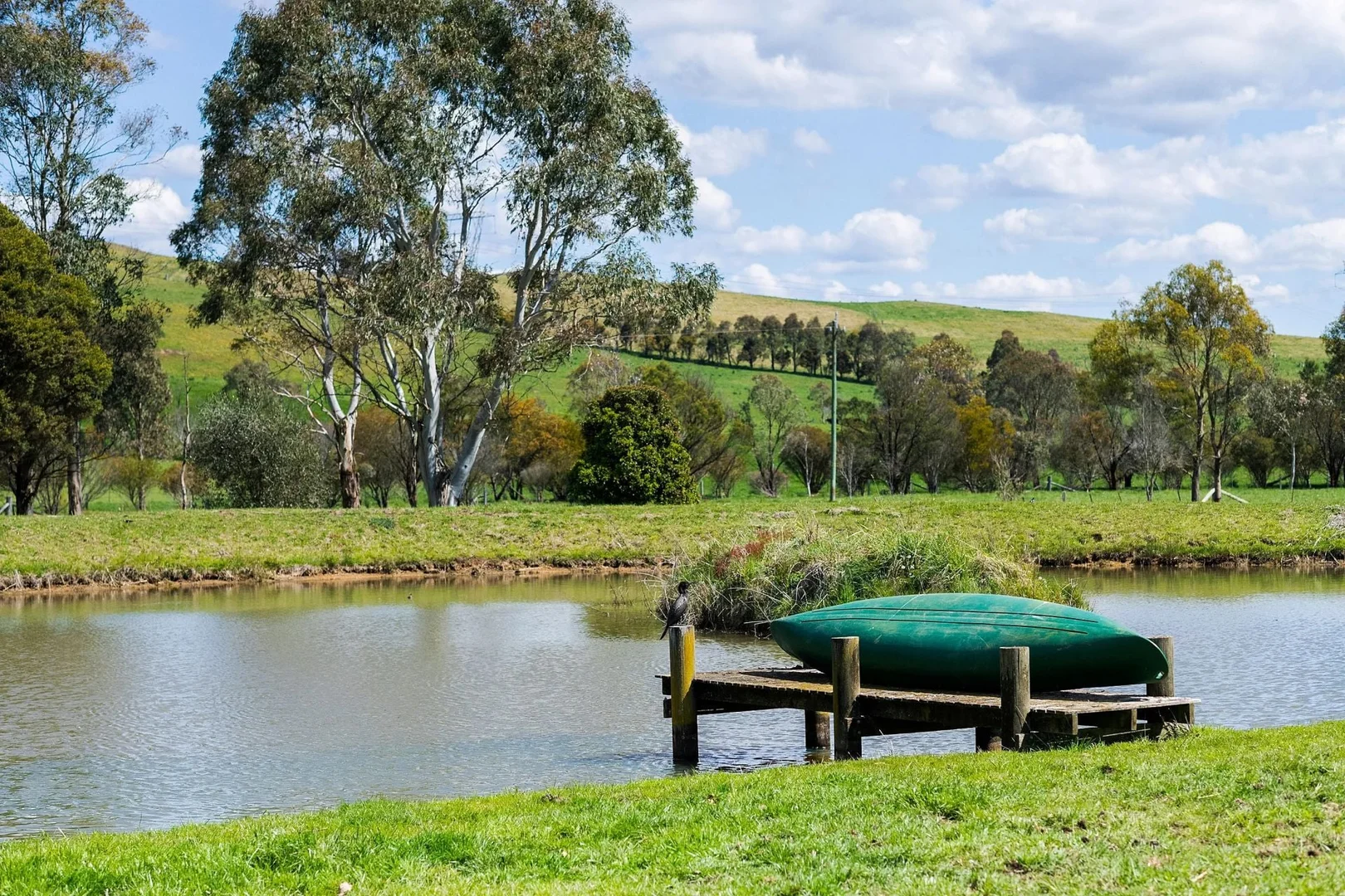 Additional image 21 of 138 Bibbys Lane, Werai NSW 2577