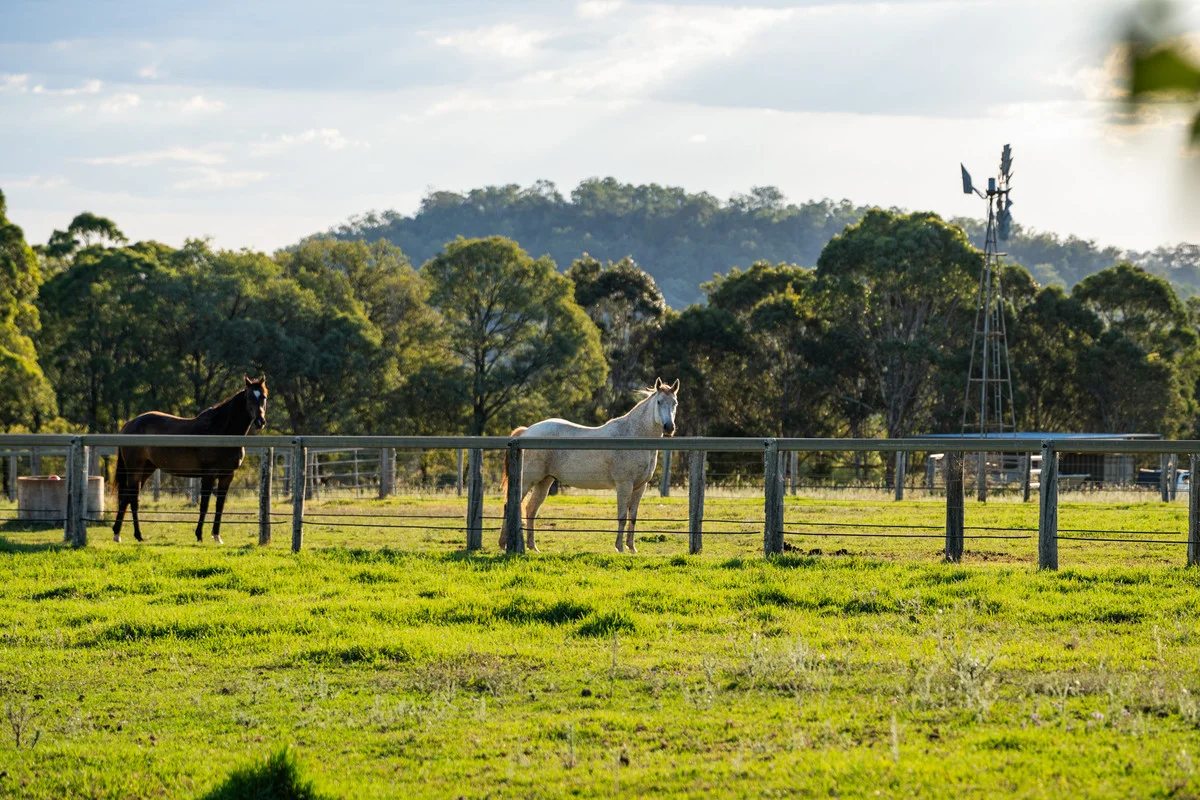 Additional image 31 of 162 Ramsay School Road, Ramsay QLD 4358