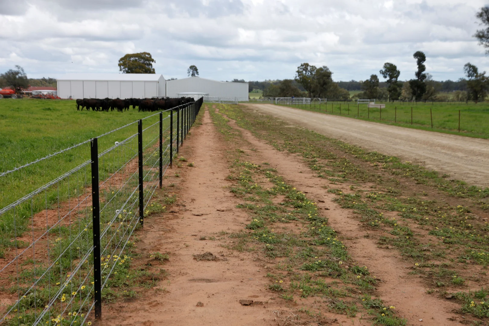Additional image 10 of 929 Old Narrandera Road, Wagga Wagga NSW 2650