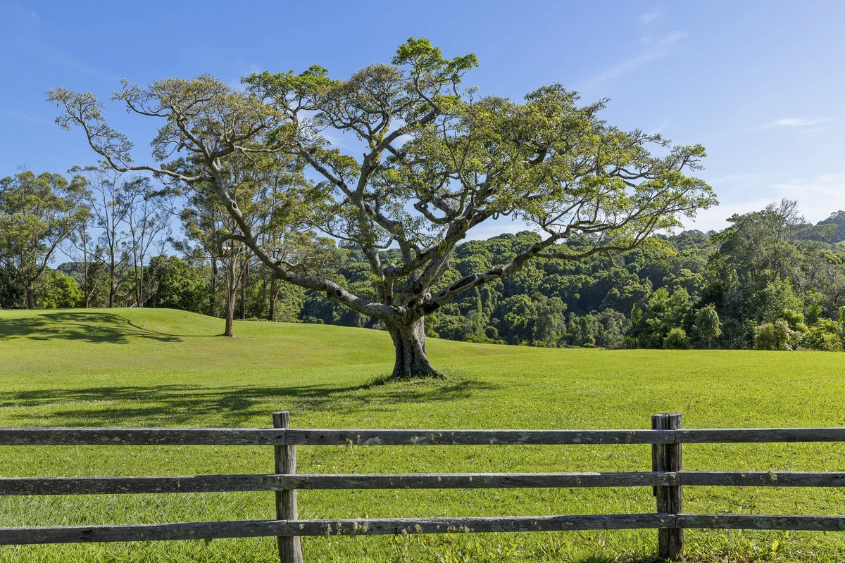 Additional image 19 of 36 Keys Road, Coorabell NSW 2479