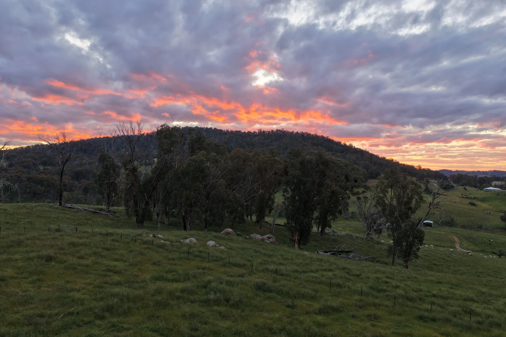 Additional image 15 of 954 Courabyra Road, Tumbarumba NSW 2653