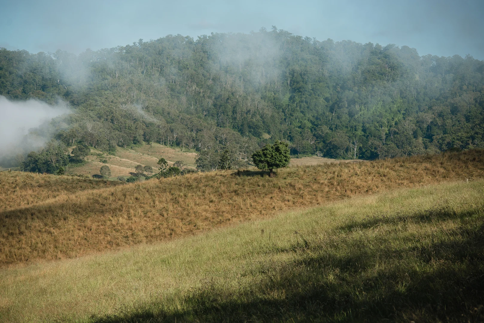 Additional image 12 of Lynches Creek Road, Wiangaree NSW 2474