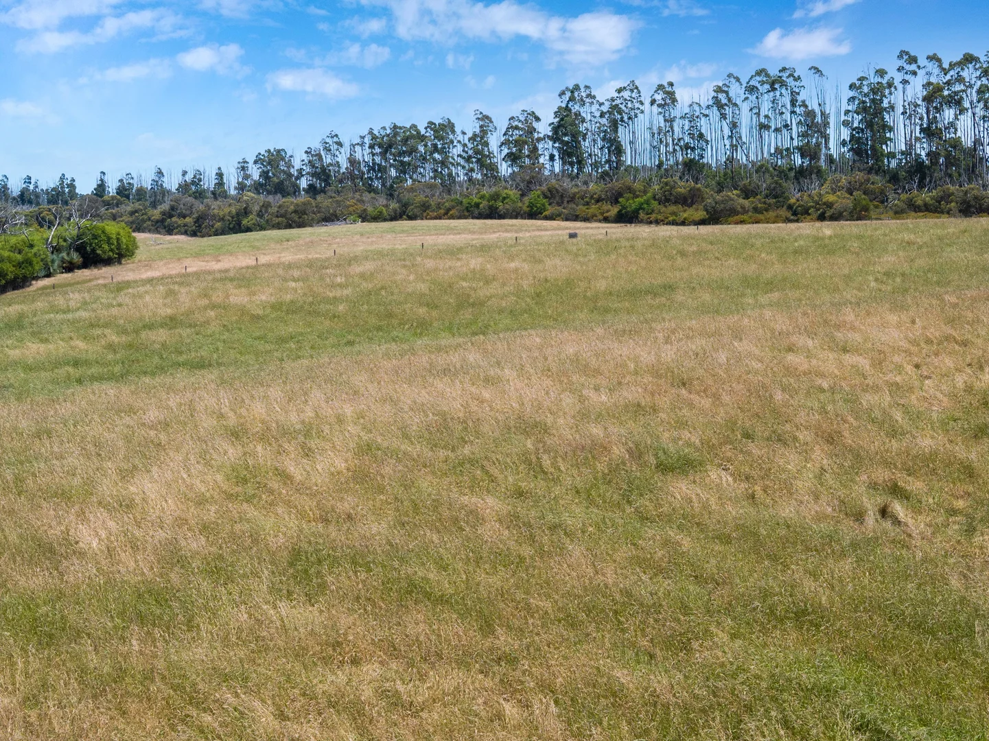 Additional image 36 of 157 Berrymans Road, Gosse SA 5223