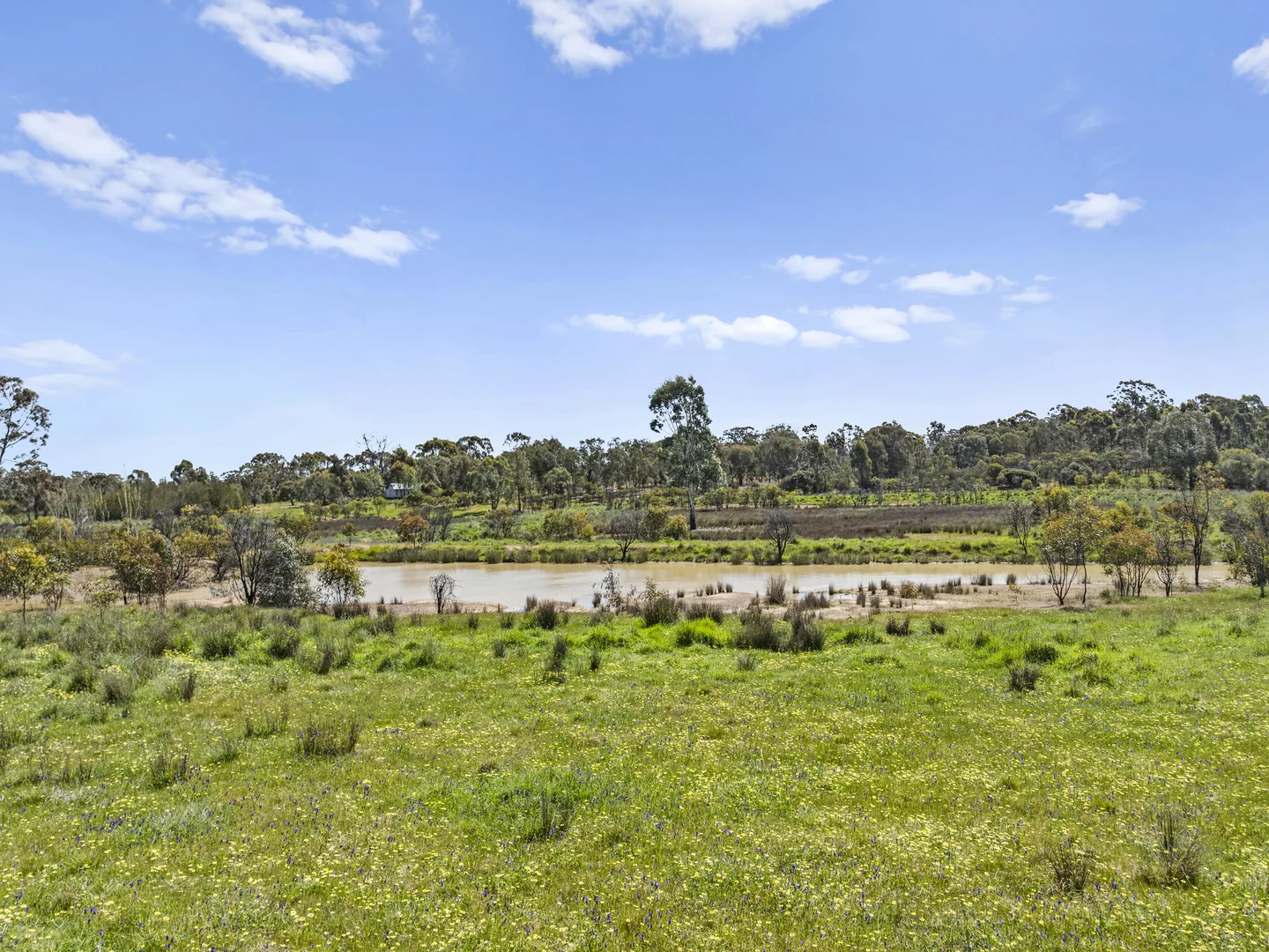 Additional image 9 of Lot 2 Gellibrand Tonks Road, Earlston VIC 3669