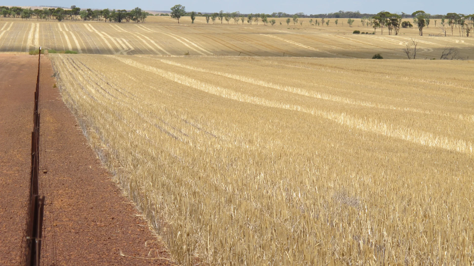 Additional image 3 of Glen Waddi, Waddy Forest, Coorow WA 6515