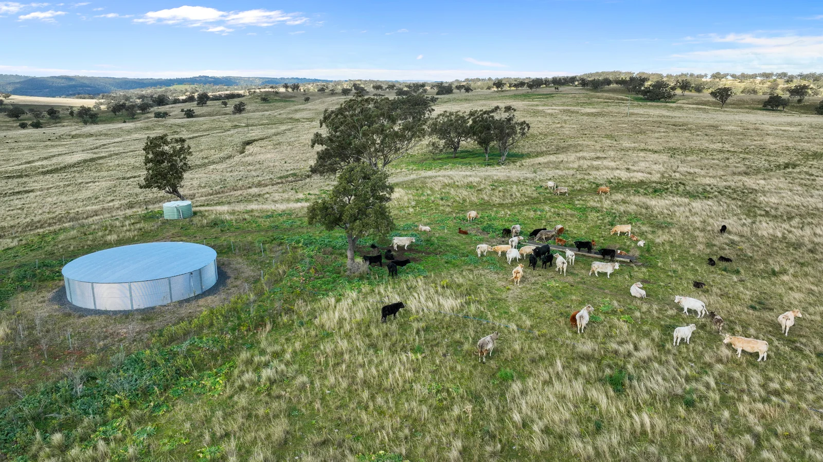 Additional image 4 of 2741 Bunnan Road, Bunnan NSW 2337