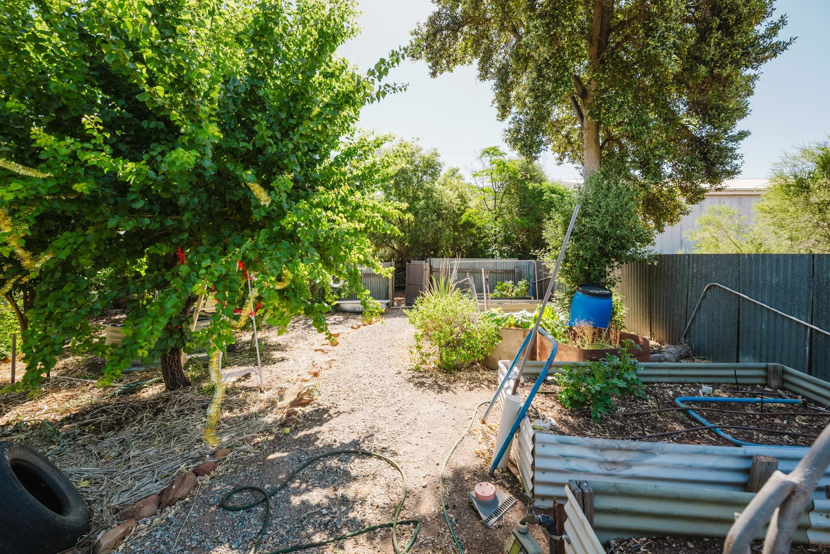 Additional image 20 of 25 East Tce, Booborowie SA 5417