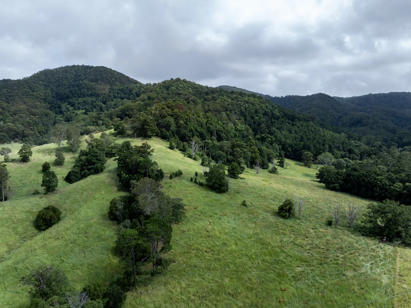 Additional image 30 of 43 Cutmore Road, Obi Obi QLD 4574