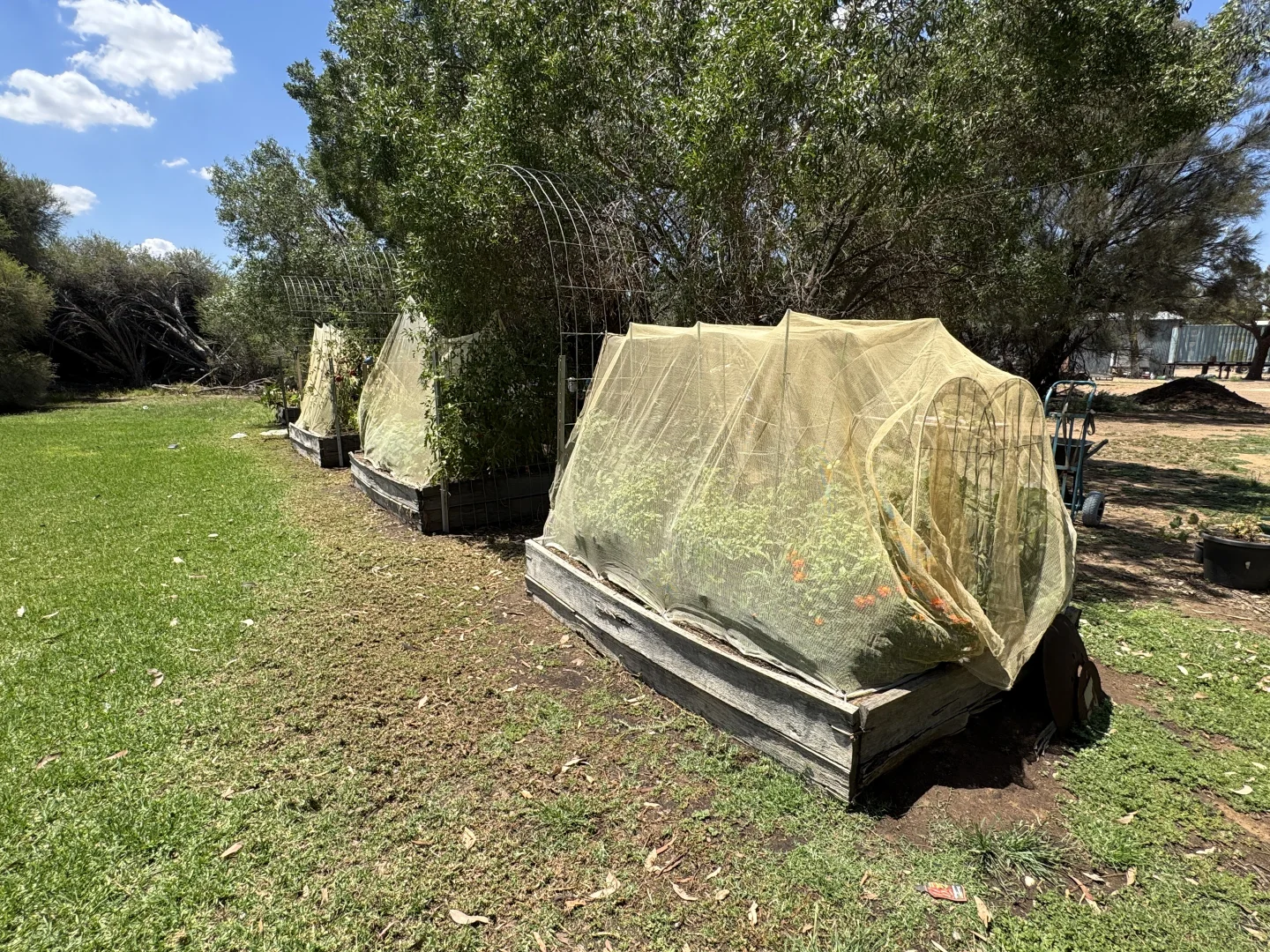 Additional image 65 of 300 Devon Road, Deniliquin NSW 2710