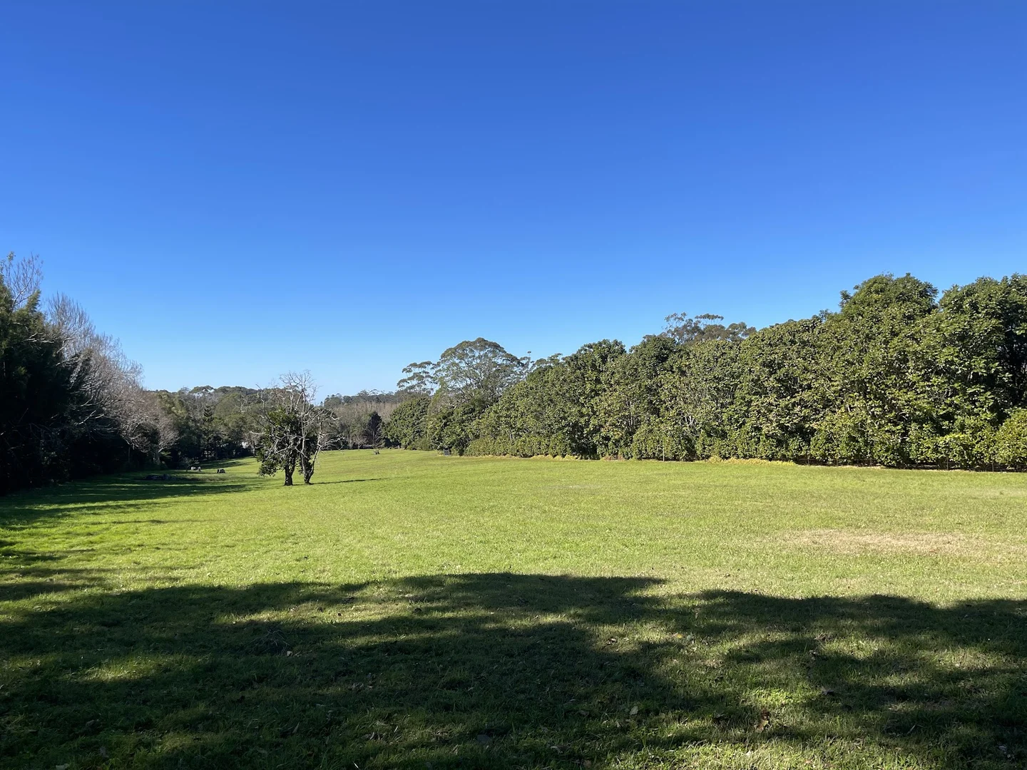 Additional image 4 of Tamborine Mountain QLD 4272