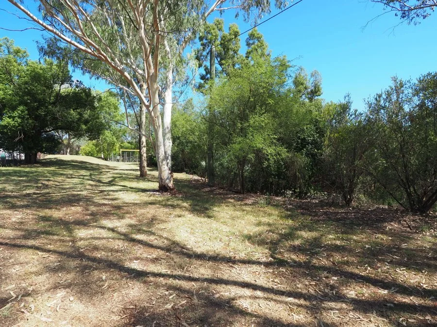 Additional image 13 of 58 Market Street, Warialda NSW 2402