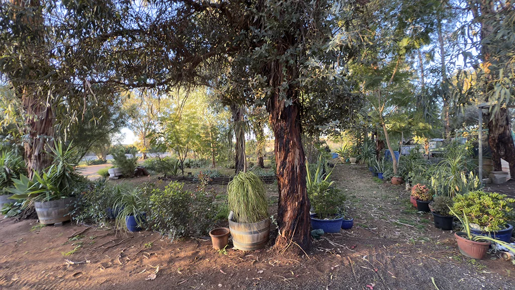 Additional image 17 of 252 Holder Top Road, Holder SA 5330