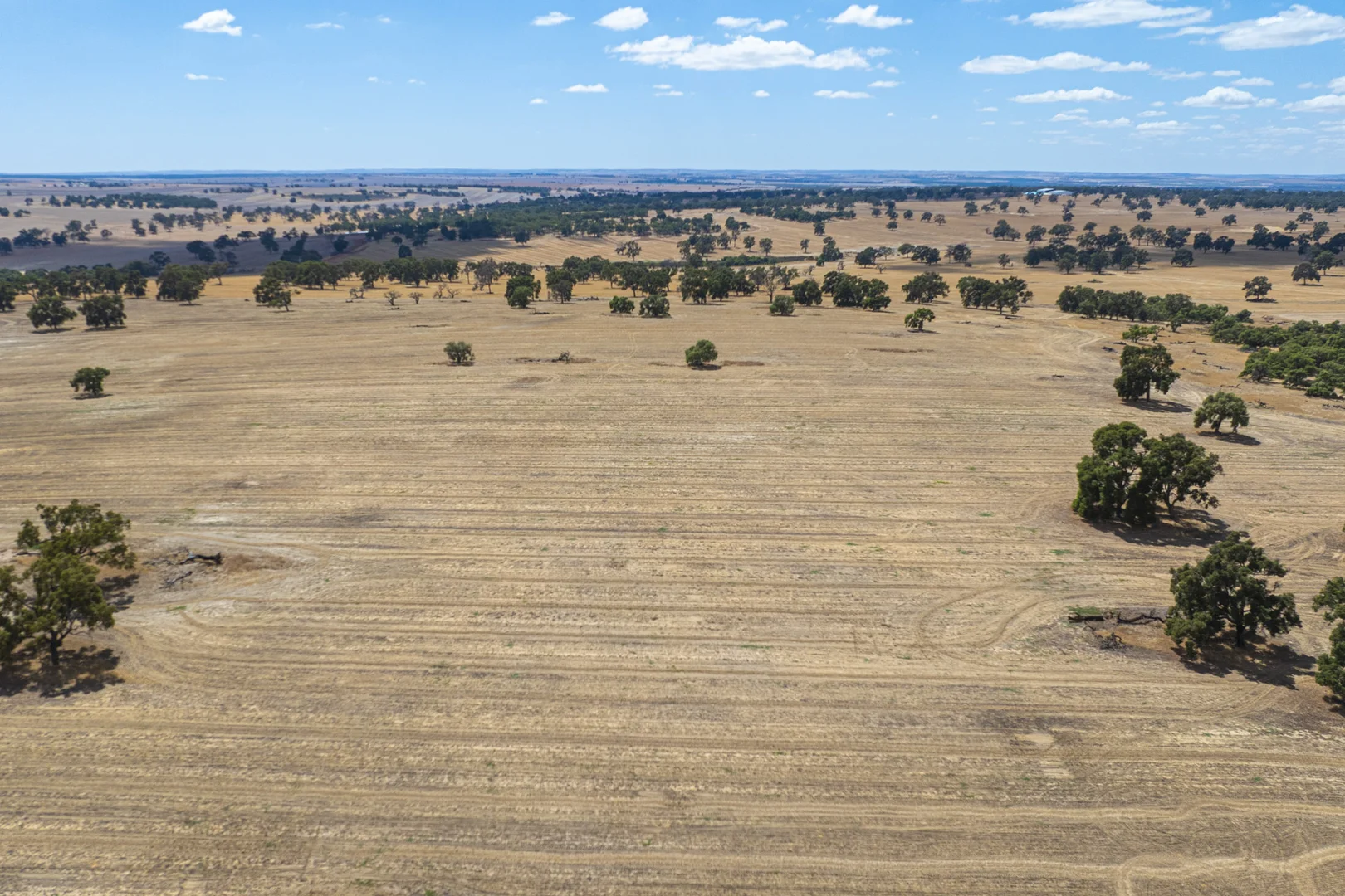 Additional image 24 of 1830 Rowes Road, Dandaragan WA 6507
