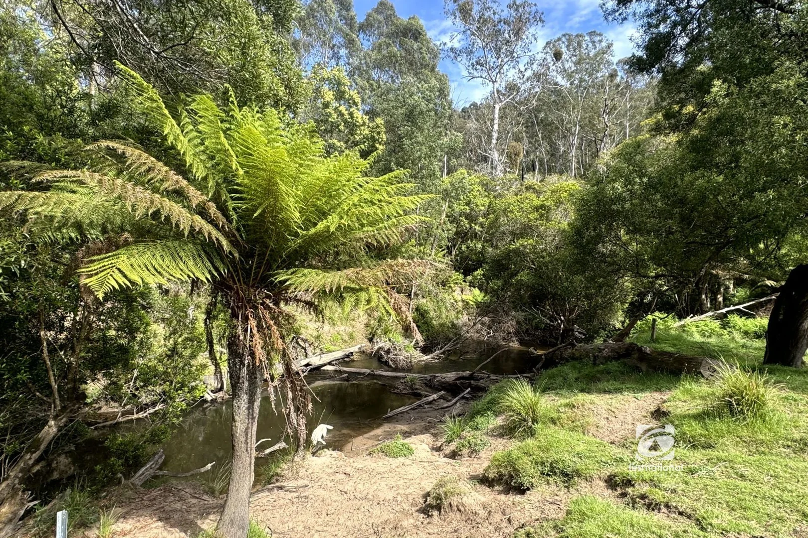 Additional image 22 of 2825 Combienbar Road, Combienbar VIC 3889