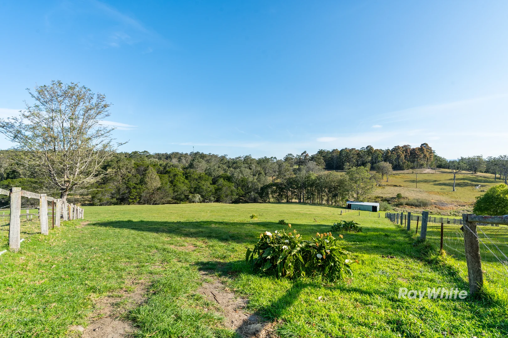 Additional image 33 of 56 Eurobodalla Road, Bodalla NSW 2545