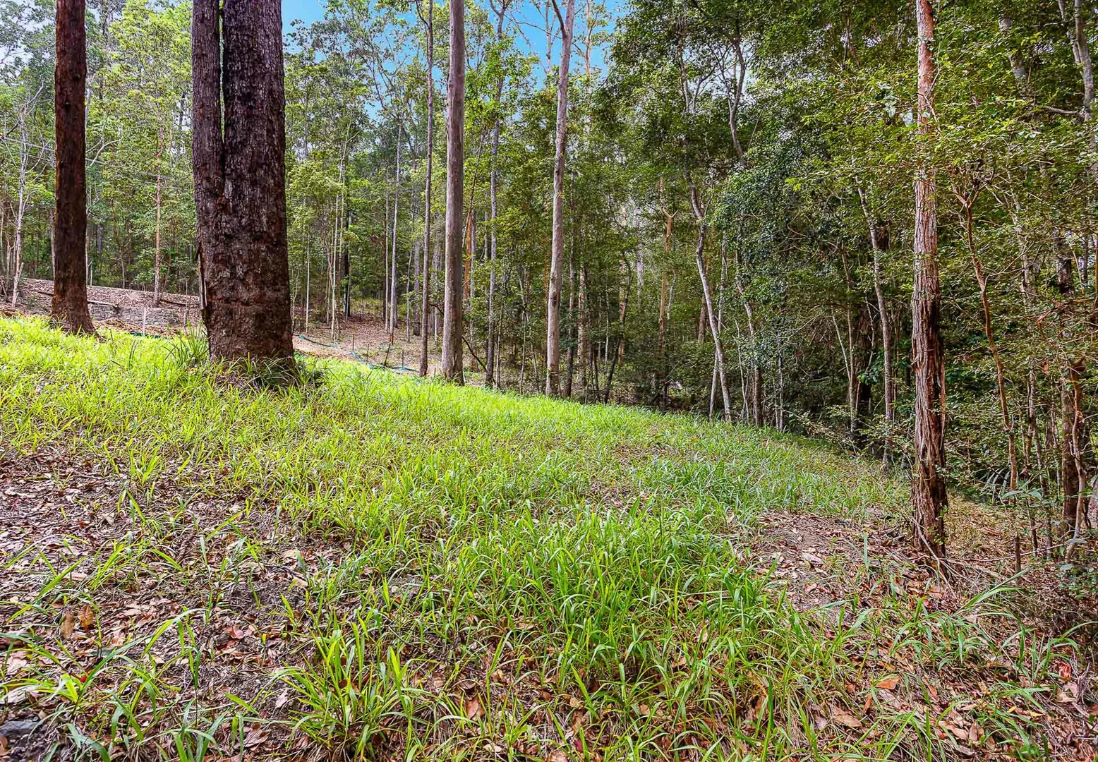 Additional image 18 of 13 Dunbar Road, Bonogin QLD 4213