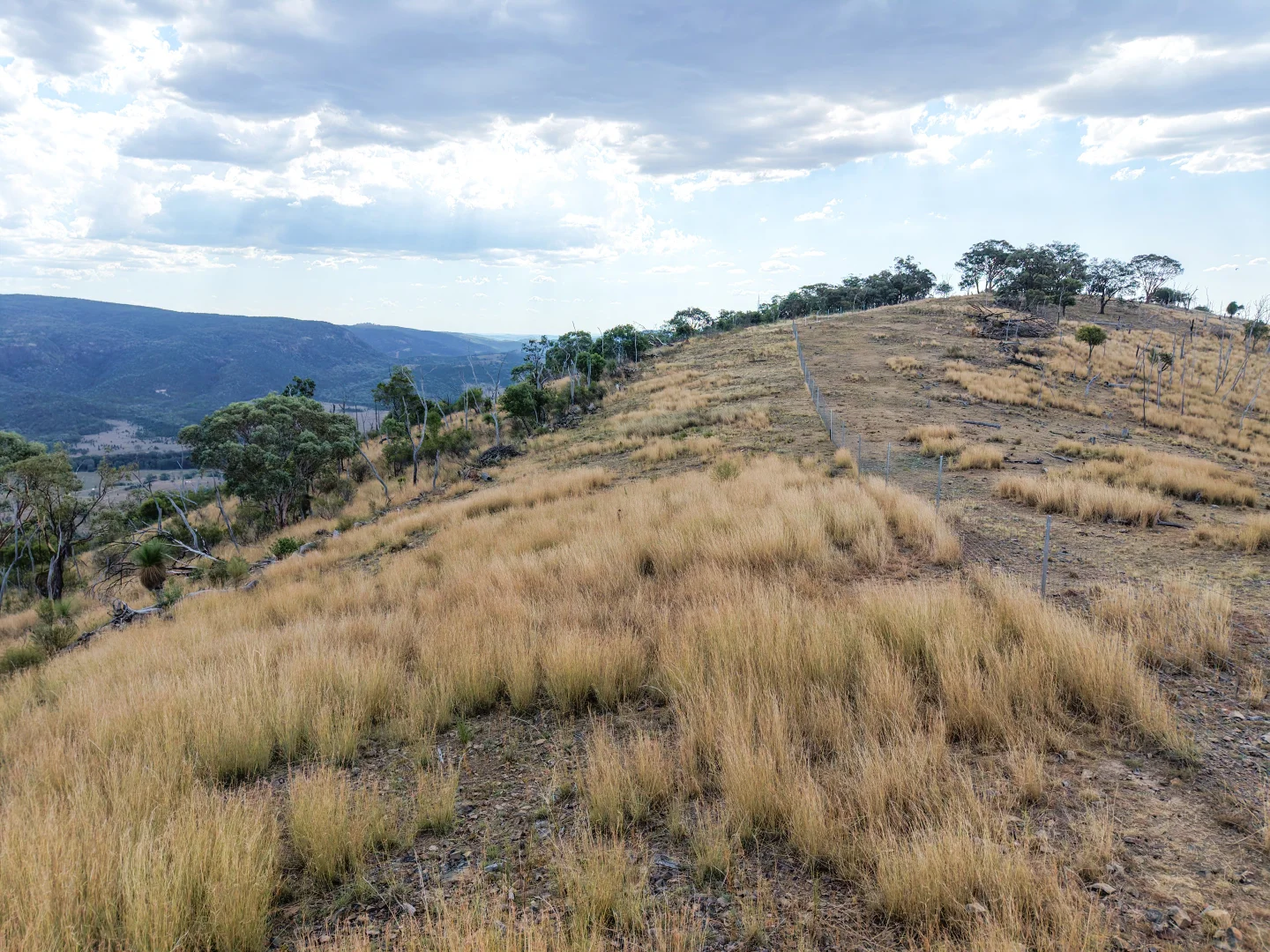 Additional image 20 of Lot 21 Gibraltar Road, Tenterfield NSW 2372