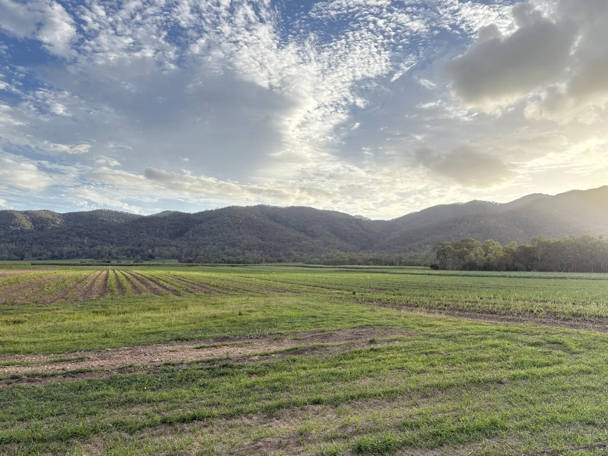 Additional image 10 of 2 Sievers Road, Oakenden QLD 4741